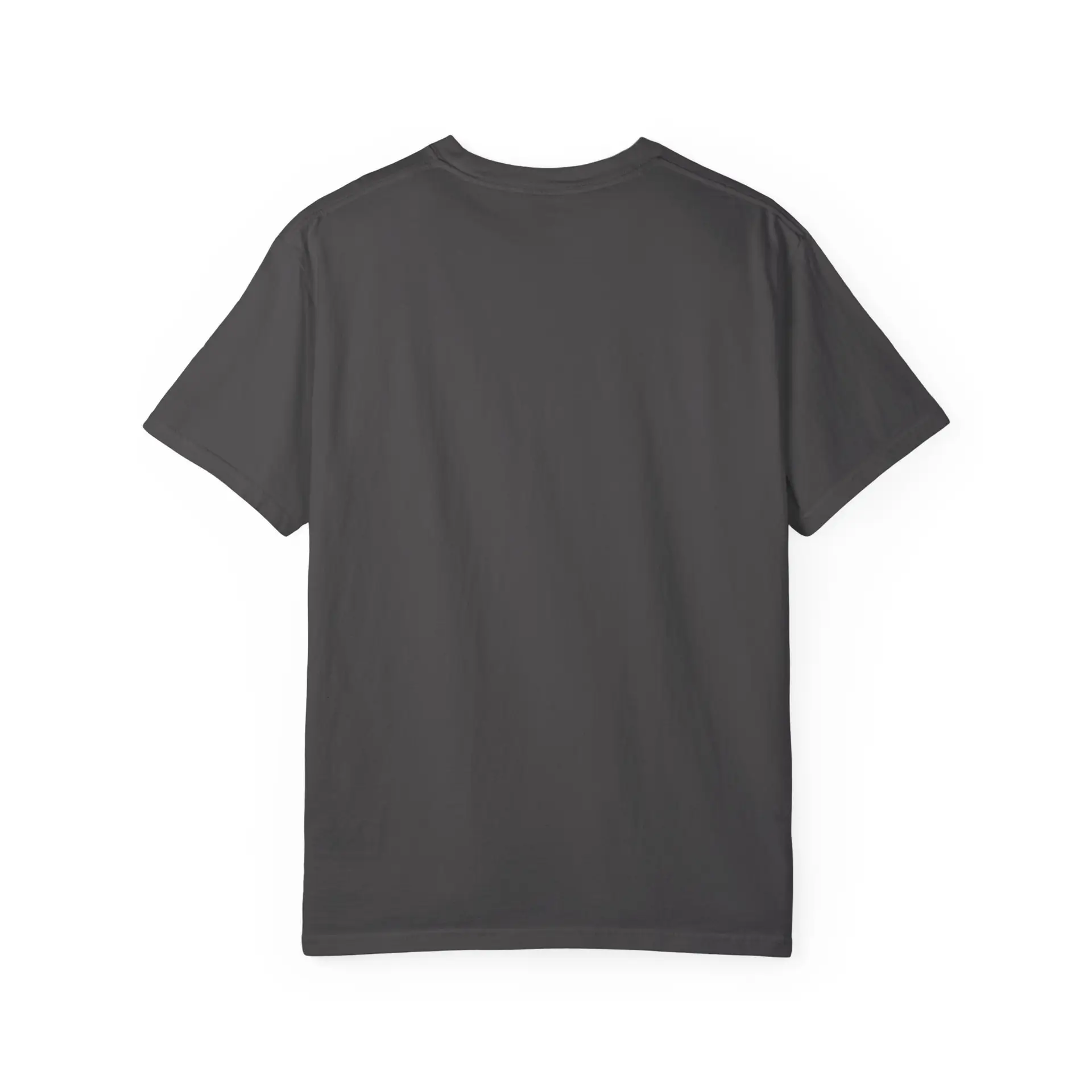 Phoenix illustration Soul Sistar Heather T-shirt | Flaming Bird Tee - Image 2